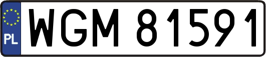 WGM81591