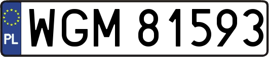 WGM81593