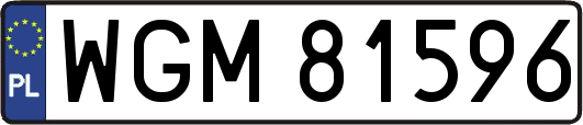 WGM81596