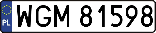 WGM81598