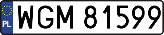 WGM81599