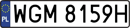 WGM8159H