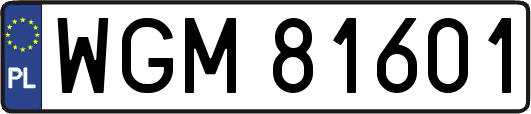 WGM81601