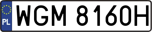WGM8160H