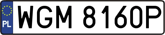 WGM8160P