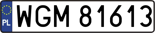 WGM81613