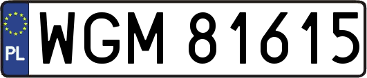 WGM81615
