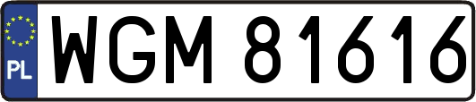 WGM81616