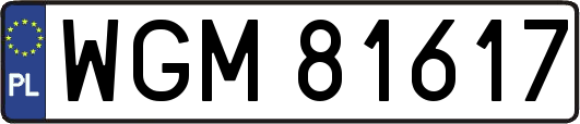WGM81617