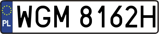 WGM8162H