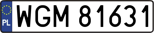 WGM81631