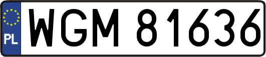 WGM81636