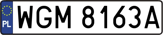 WGM8163A