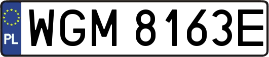WGM8163E