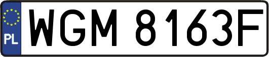 WGM8163F