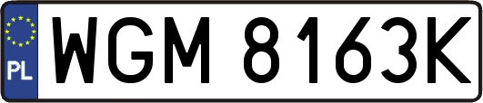 WGM8163K