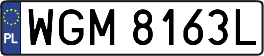 WGM8163L