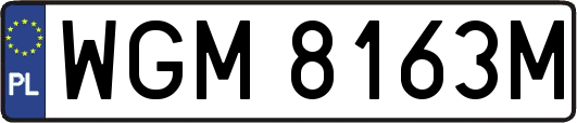 WGM8163M