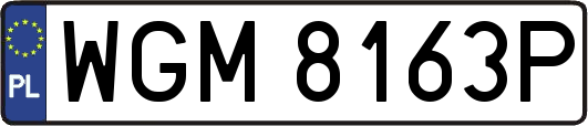 WGM8163P