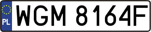 WGM8164F