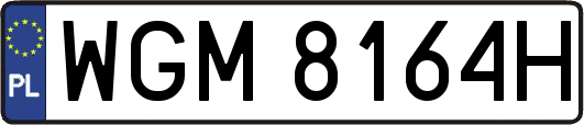 WGM8164H
