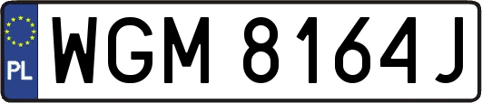 WGM8164J
