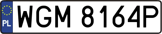 WGM8164P
