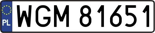 WGM81651