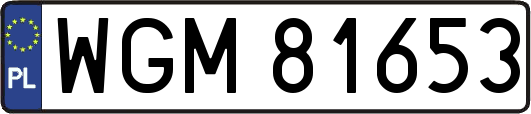 WGM81653
