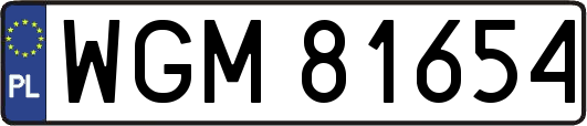 WGM81654