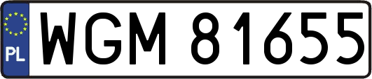 WGM81655