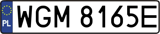 WGM8165E