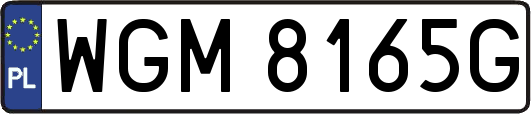 WGM8165G