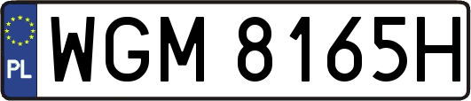 WGM8165H