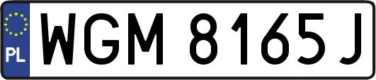 WGM8165J