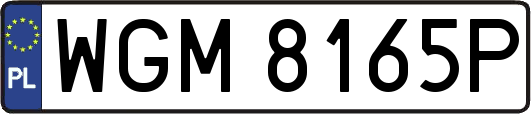 WGM8165P