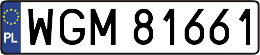 WGM81661