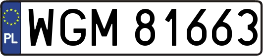 WGM81663