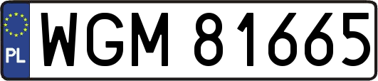 WGM81665