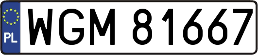 WGM81667
