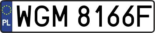 WGM8166F