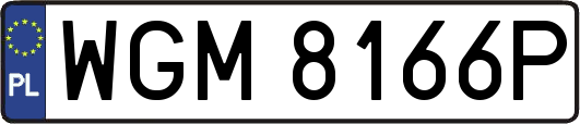 WGM8166P