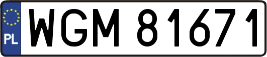 WGM81671