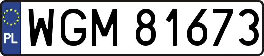 WGM81673