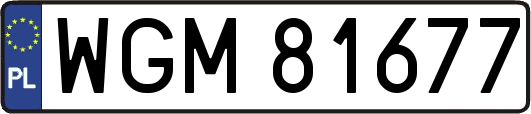 WGM81677