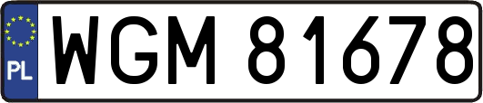 WGM81678
