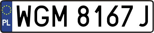 WGM8167J