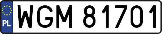 WGM81701