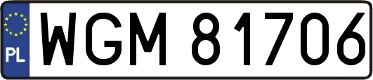 WGM81706