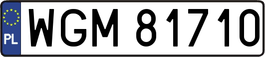 WGM81710
